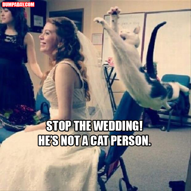 stop the wedding