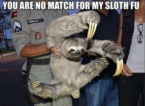 you are no match for sloth fighting
