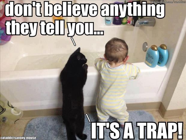 baby and cat taking a bath funny images - Dump A Day