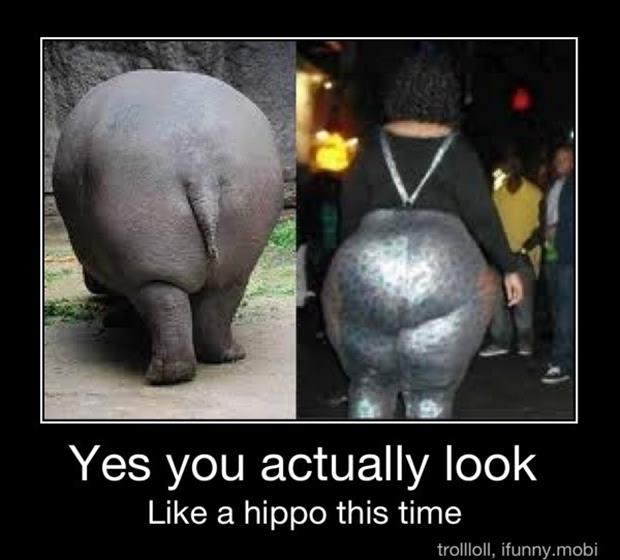 fat women look like hippos