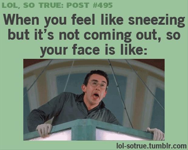 funny sneeze face