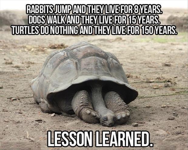 life-lessons1.jpg
