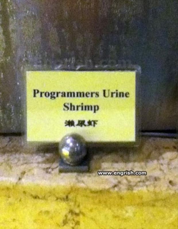 lost in translation shrimp