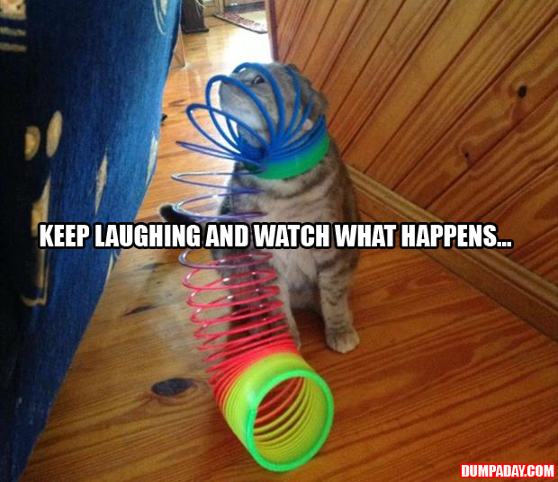 A funny cat stuck in slinky