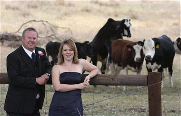Funny Wedding Photobombs (11)