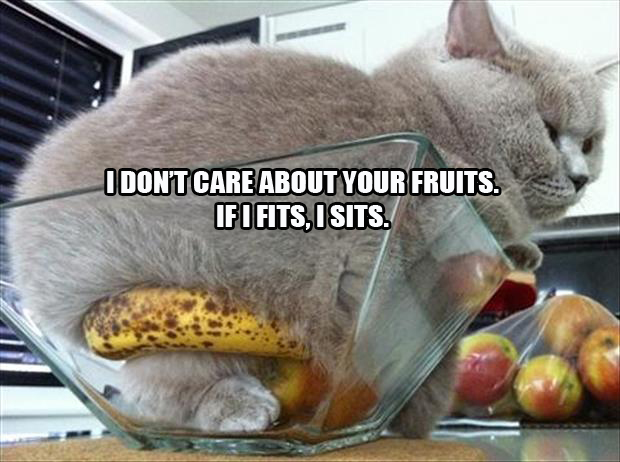 I don't care about your fruits, I sits