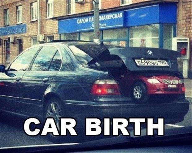 a funny pictures car birth