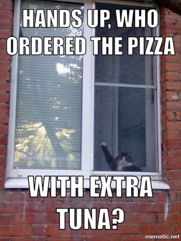 a funny pictures ordering pizza