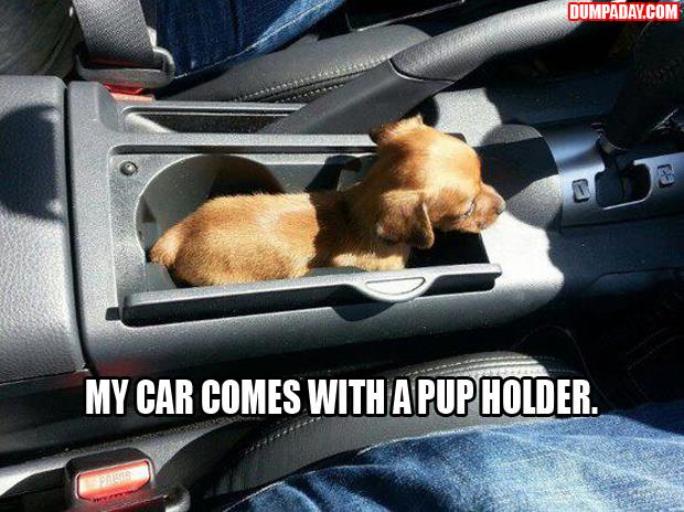 a pup holder