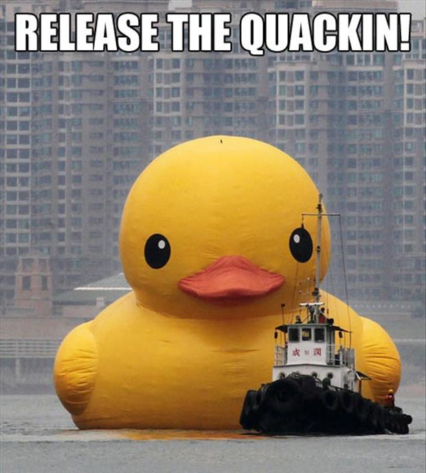 a release the krackin funny pictures