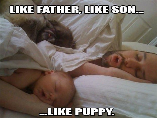 a sleeping dad and baby and puppy