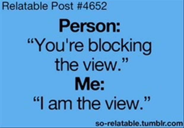 blocking the view funny quotes