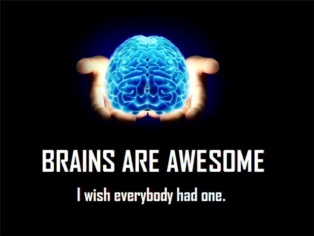 brains are awesome I wish everyone had one