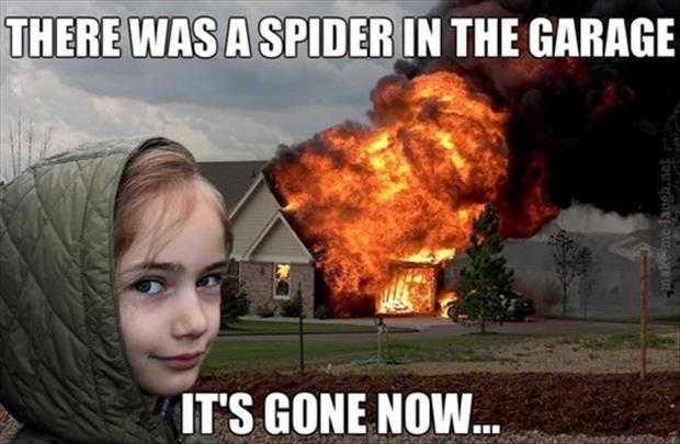 burn-the-house-down-to-kill-the-spider.j
