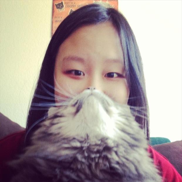 cat beard memes (11)