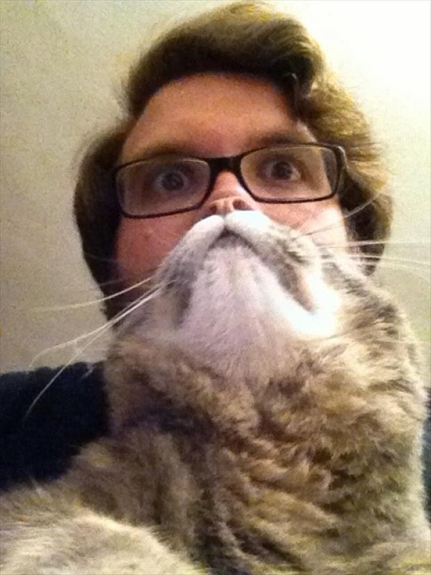 cat beard memes (16)