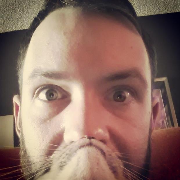 cat beard memes (22)