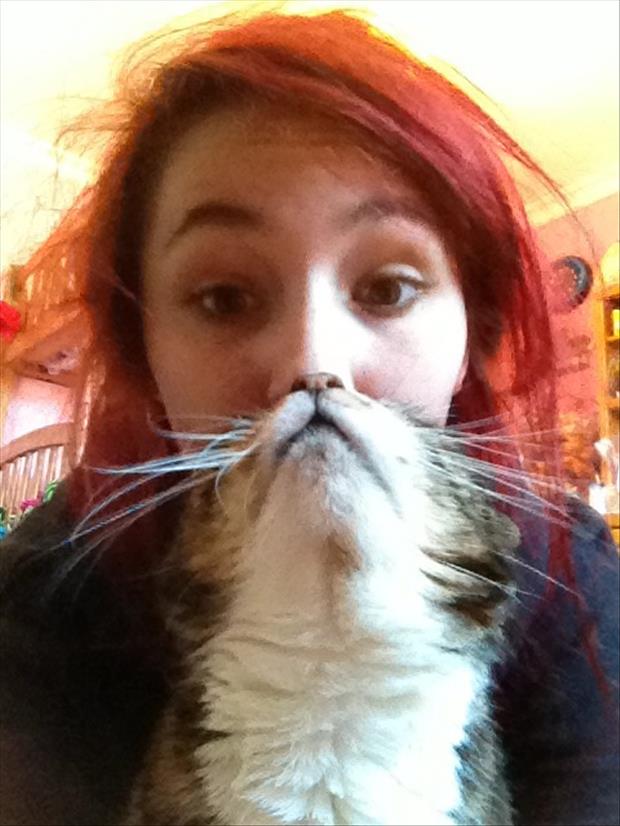 cat beard memes (23)