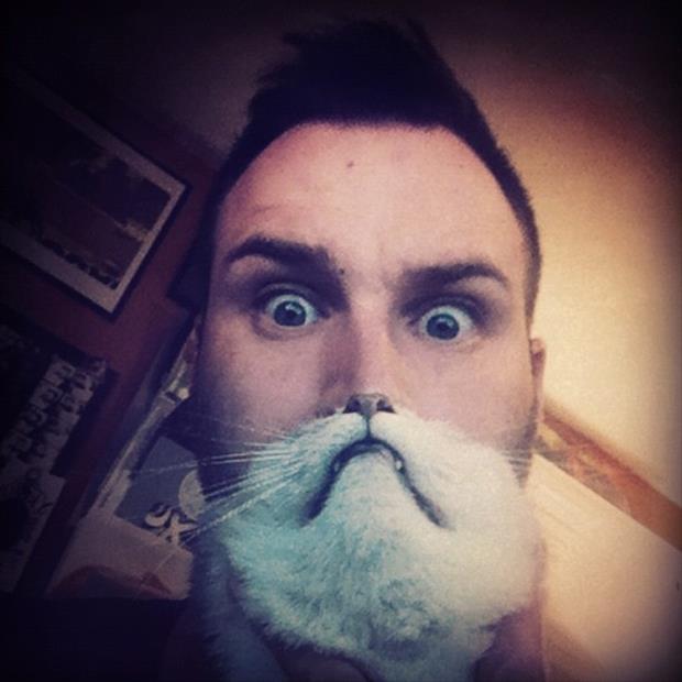 cat beard memes (6)