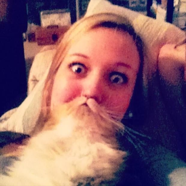 cat beard memes (7)