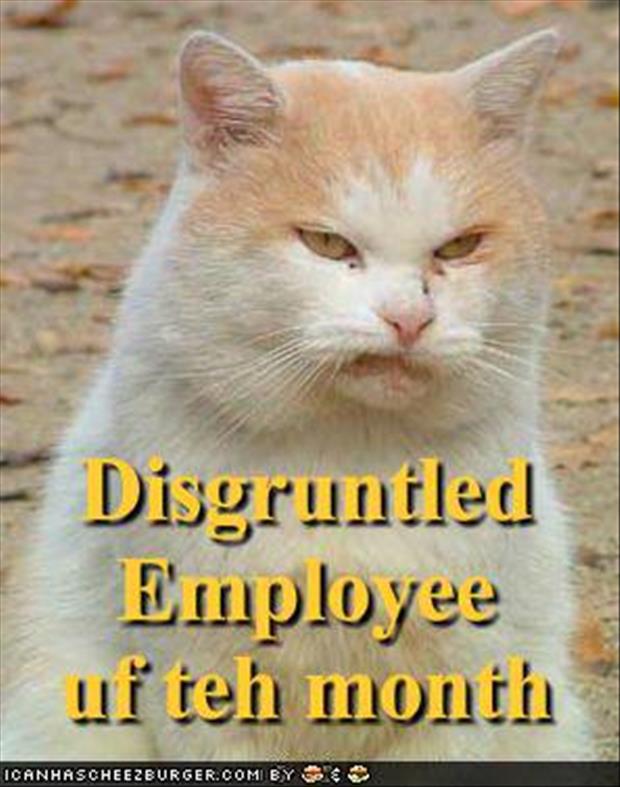 disgruntled employees funny pictures