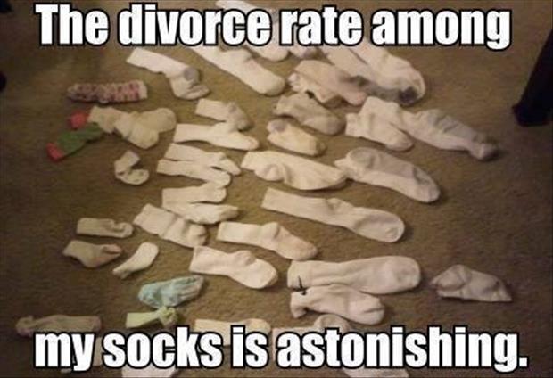 divorce rate funny pictures