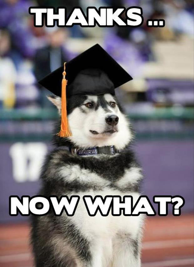 dog graduates from school