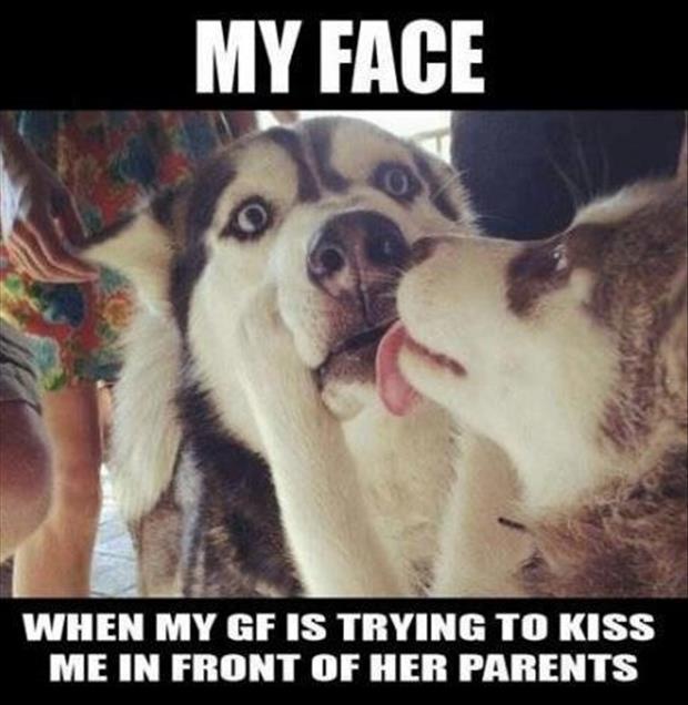 doggy kisses