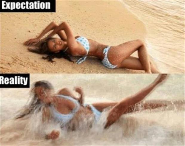 expectation vs reality