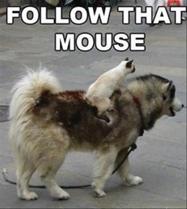 follow that mouse