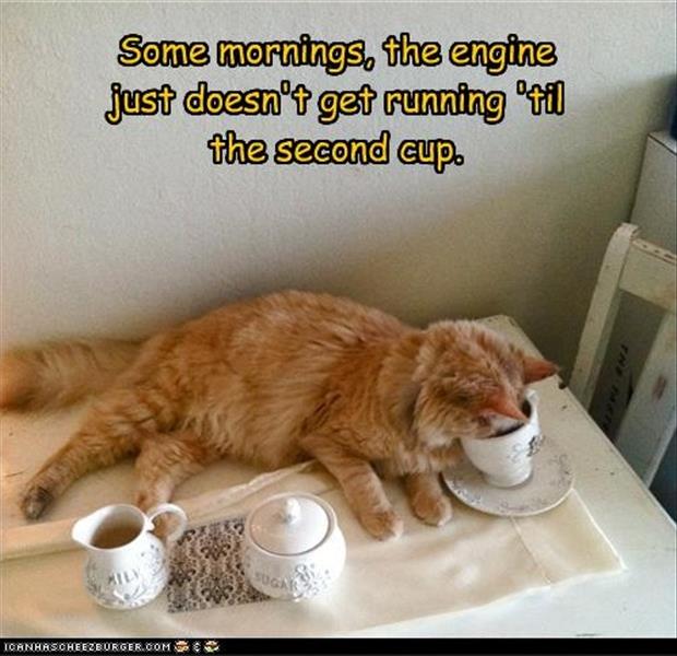 funny coffee in the morning pictures