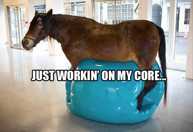 funny horse is tonning his core with an exercise ball