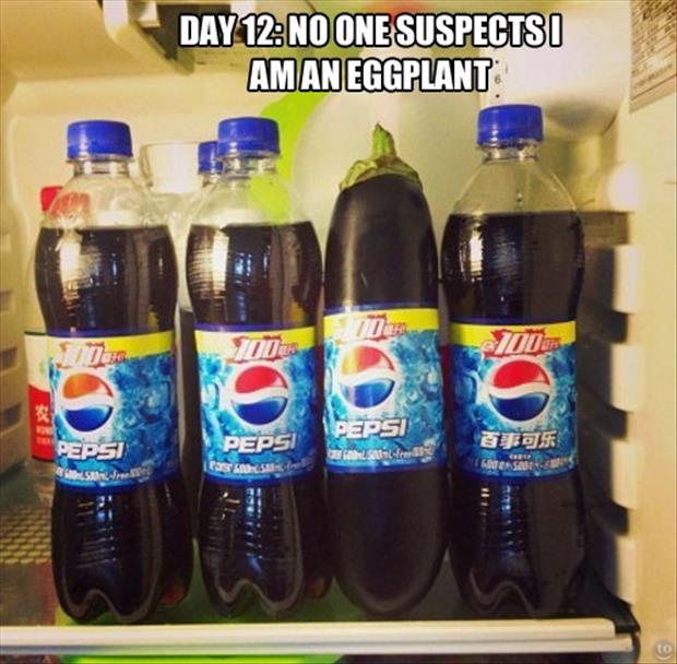 funny pepsi bottles