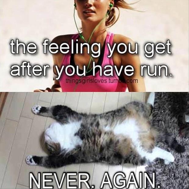 funny pictures exercising