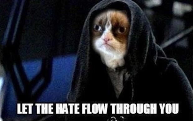 grumpy cat jedi star wars