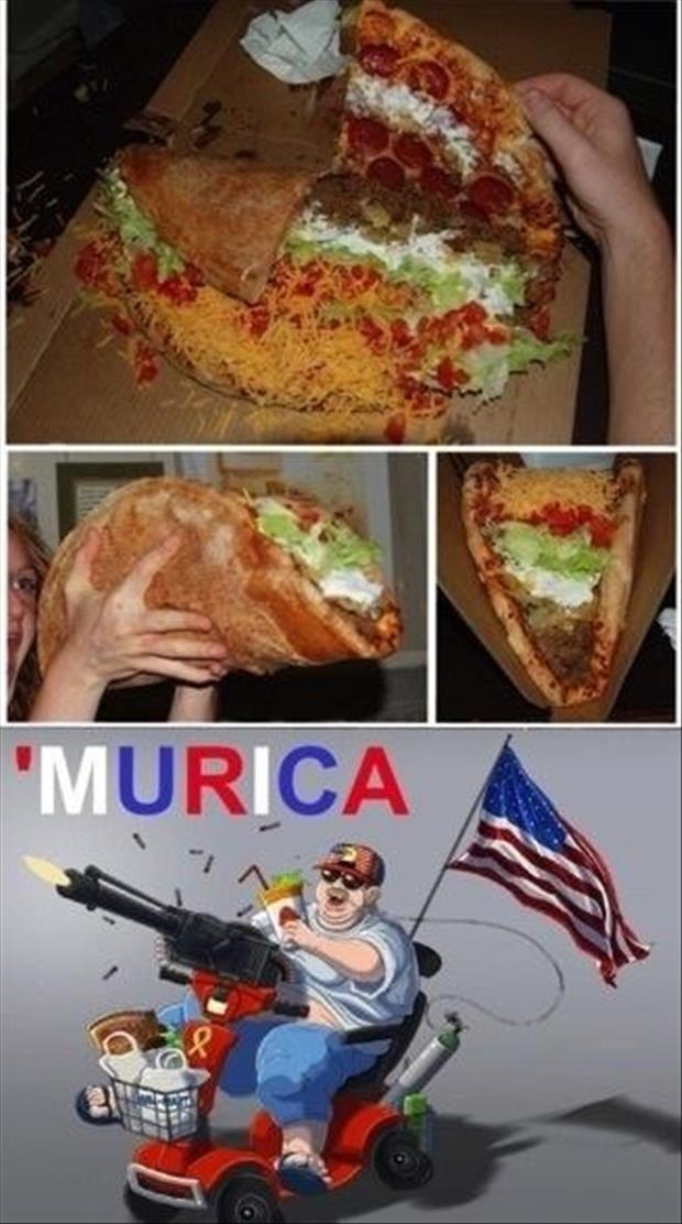 merica meme, dumpaday (27)