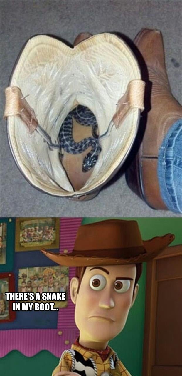 snake in my boot