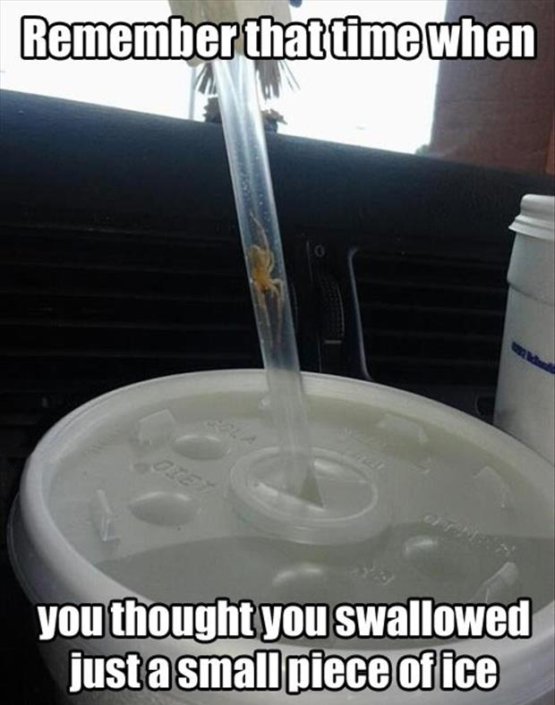 swallow ice