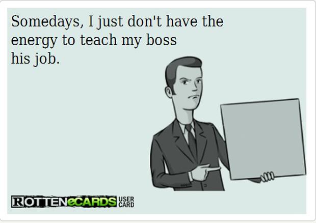 teach my boss his job