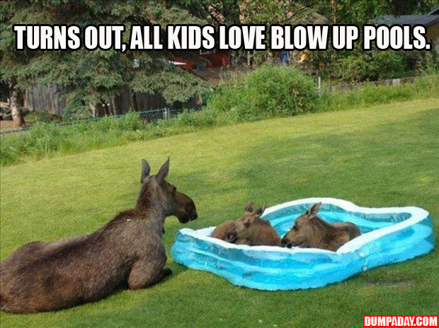 turns out all kis like swimming pools