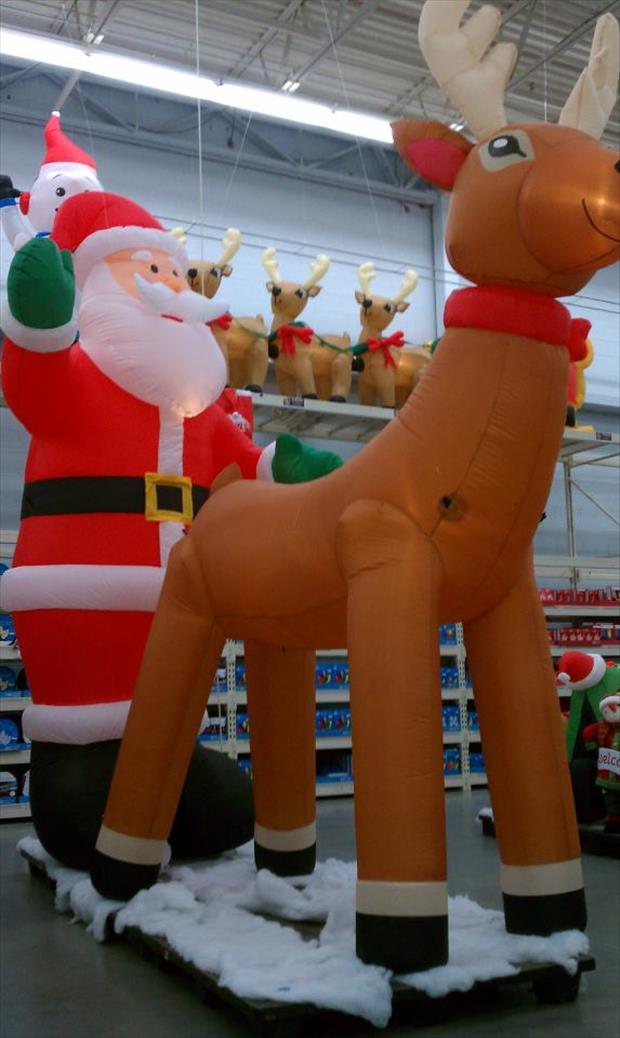 wtf wal mart pictures (10)