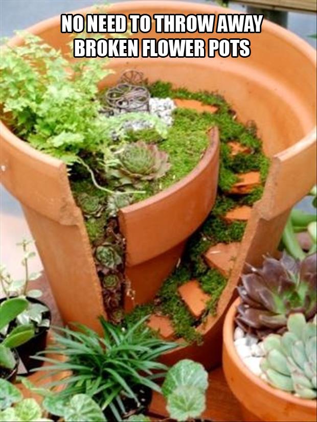 a broken flower pot