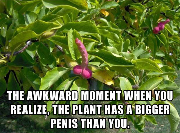 awkward moment memes (16)