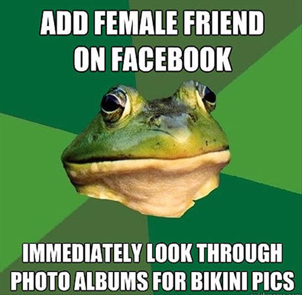 bachelor frog meme funny pictures, dumpaday (23)