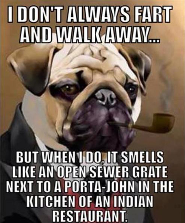 dog farts