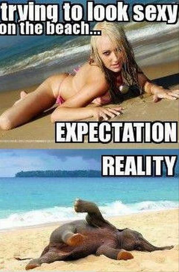 expectations-vs-reality-meme-dumpaday-3.jpg