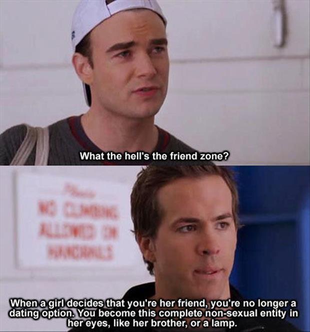 friendzone pictures dumpaday (12)