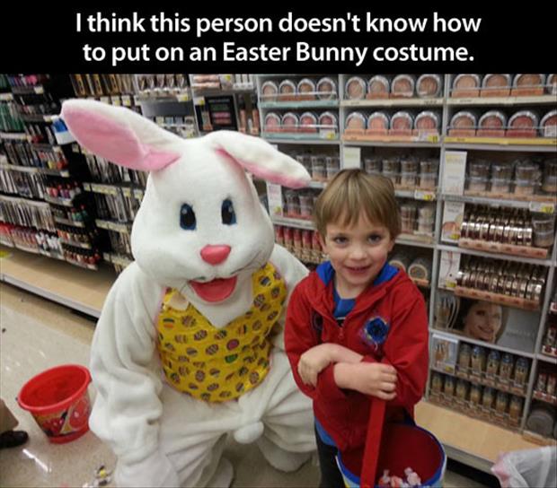 funny easter bunny