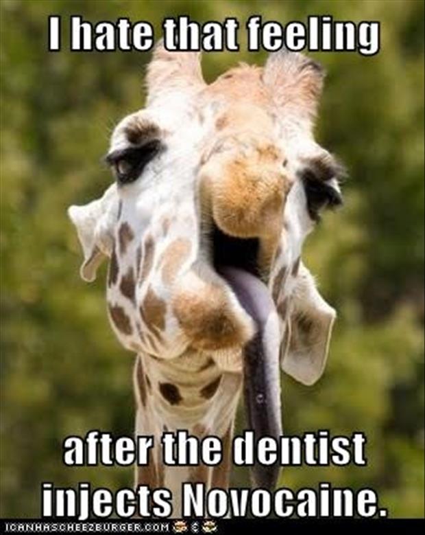 funny pictures dentists