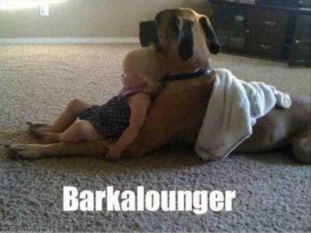 funny pictures dog and little girl